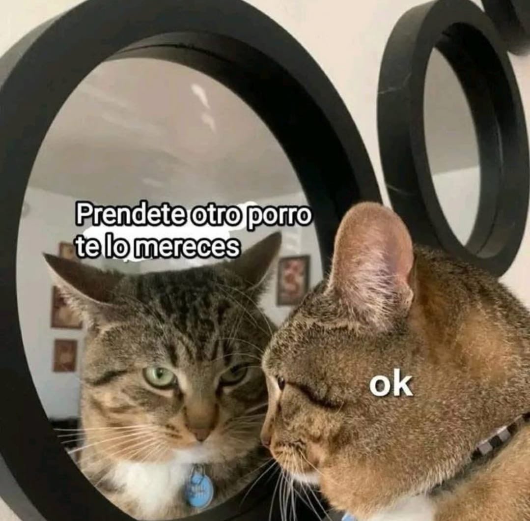 Sr.Weed (@srweedsmoker) on Twitter photo 