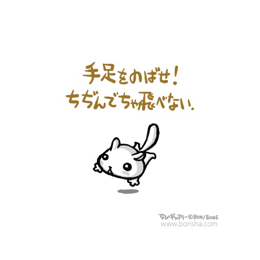 ボン社 tweet media