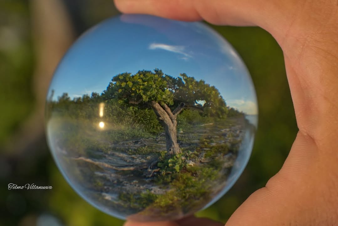 Chasing sunsets and salty kisses 🌅💋 Who else is obsessed with the breathtaking beauty of the southern part of Cozumel? 😍 

#CozumelVacation #CozumelDiving #VisitCozumel #CozumelRental #CozumelAirbnb