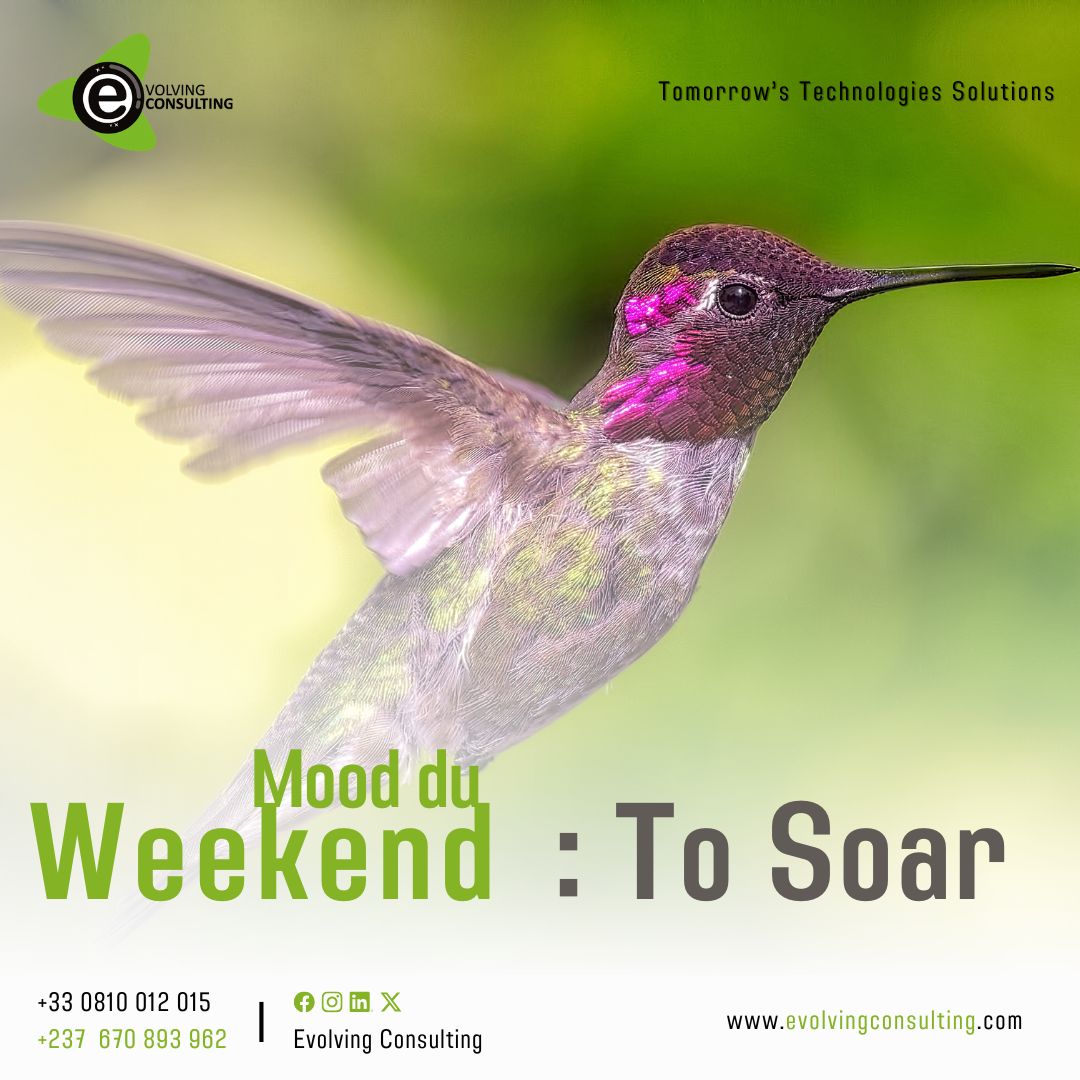 Evolving Consulting tweet media