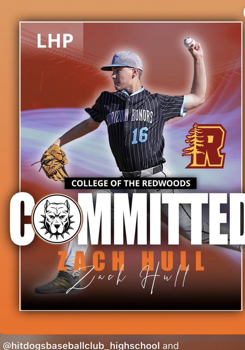 OfficialHitDogs tweet media