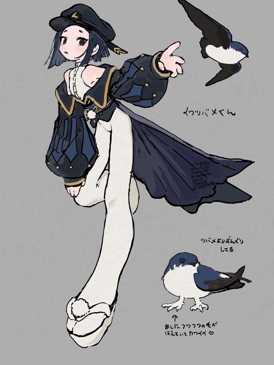 イワツバメの白タイツ…見頃ですね