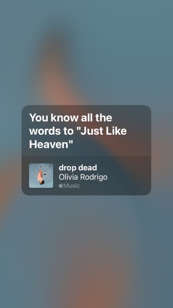 lavs ☆ drop dead 🩷 tweet media