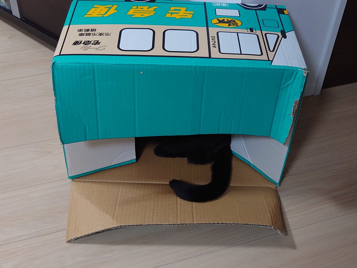 【ﾓﾂ鍋】Madam &🐈‍⬛🐈‍⬛ tweet media