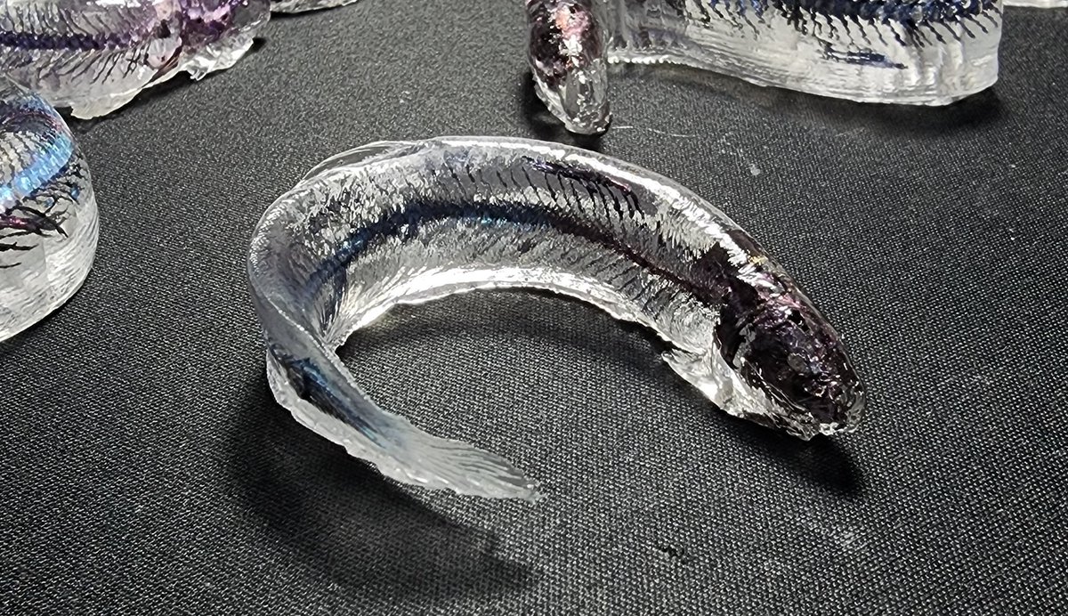 지나가던개 tweet media