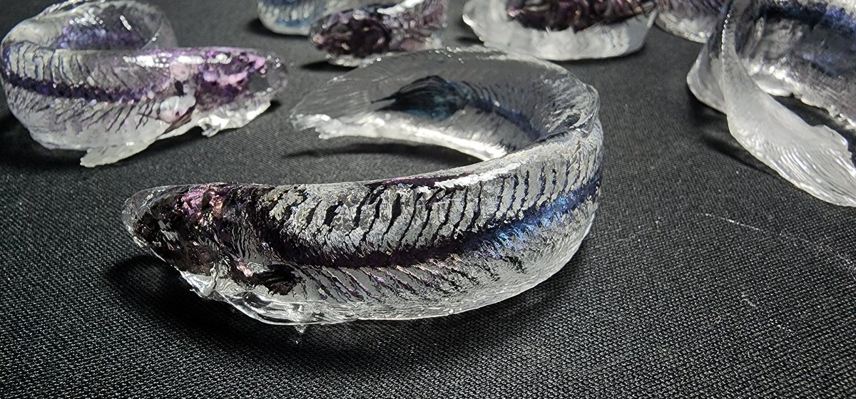 지나가던개 tweet media