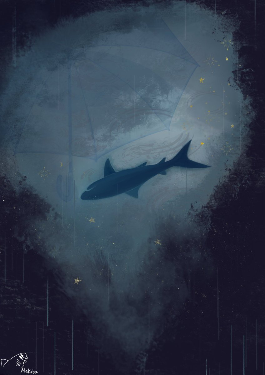 🦈めかぶ🦈 tweet media