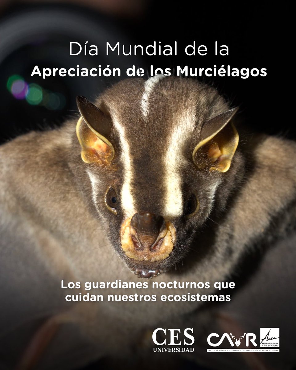 Área Metropolitana del Valle de Aburrá tweet media