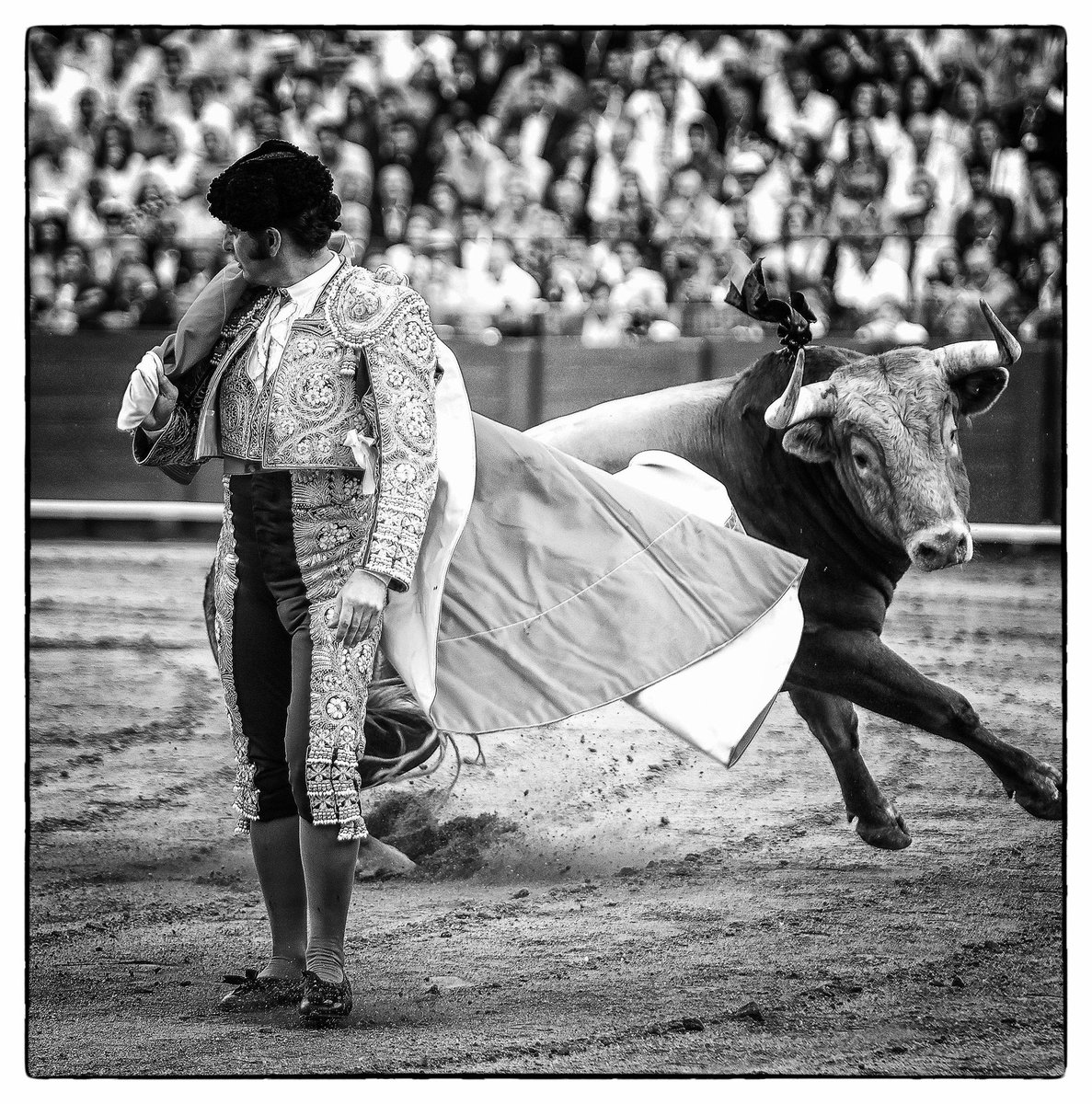 TercioQuites's tweet photo. Otra reflexión: venimos de años donde sólo importa el último tercio. Los toreros se desentienden absolutamente de la lidia. Tanto de la suya como de la de sus compañeros. ¿Sabemos el valor de la LIDIA TOTAL que vimos ayer? Morante dignifica el arte de la tauromaquia. https://t.co/pxGeDje9uc