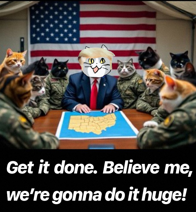 The Rock J tweet media