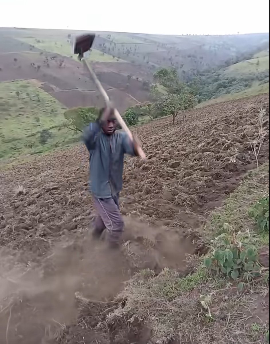 Small accounts doing everything but low engagement 😂🫴😭😭. Let's follow each other anyway.