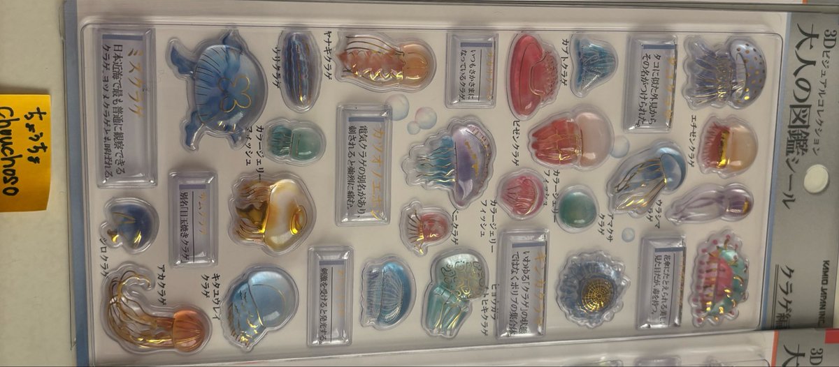 ちょうちょ tweet media