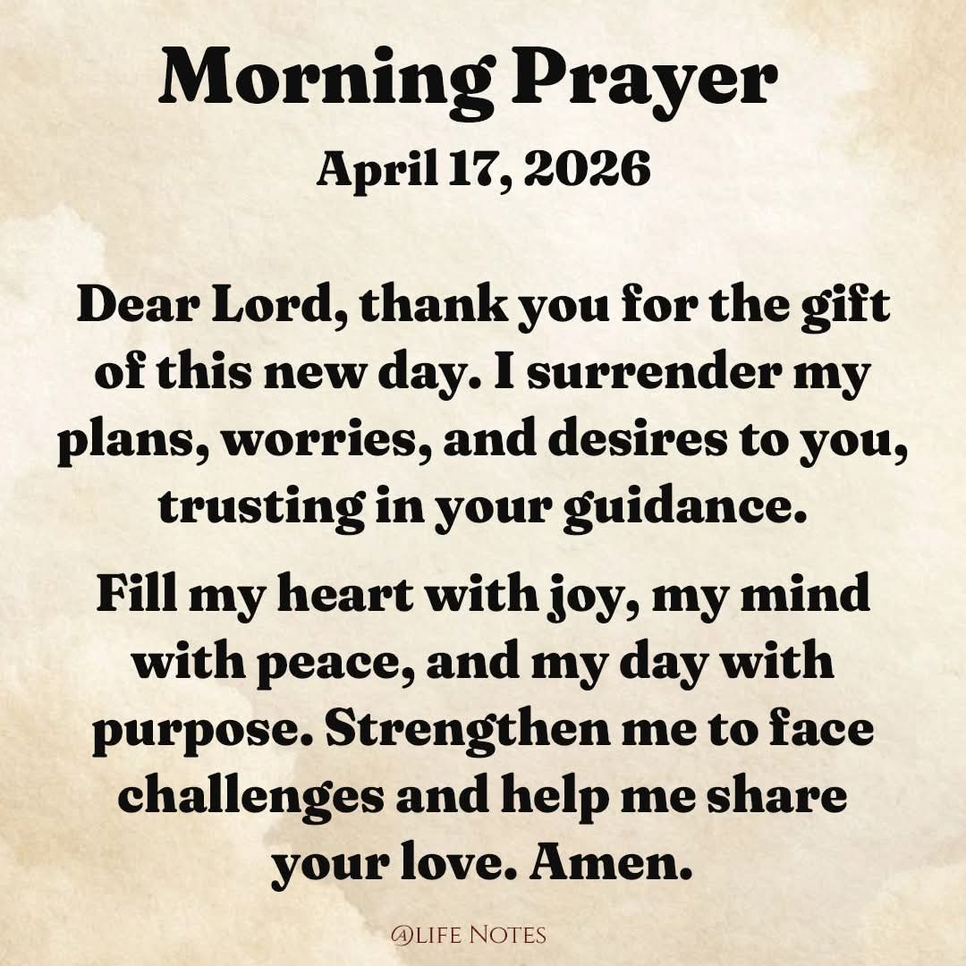 Strictly 4 My X’ers tweet media