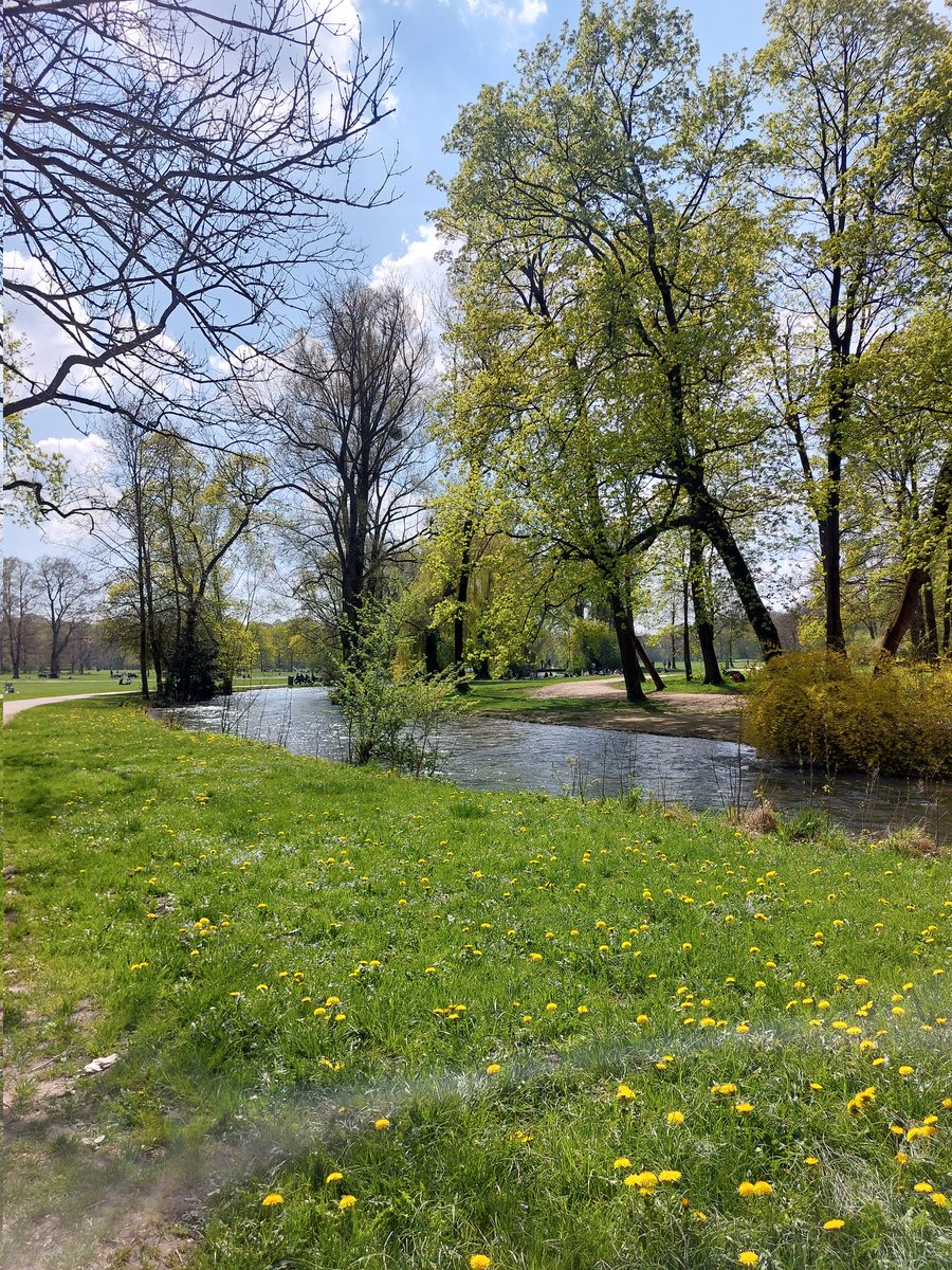 Rachel of the magical variety tweet media