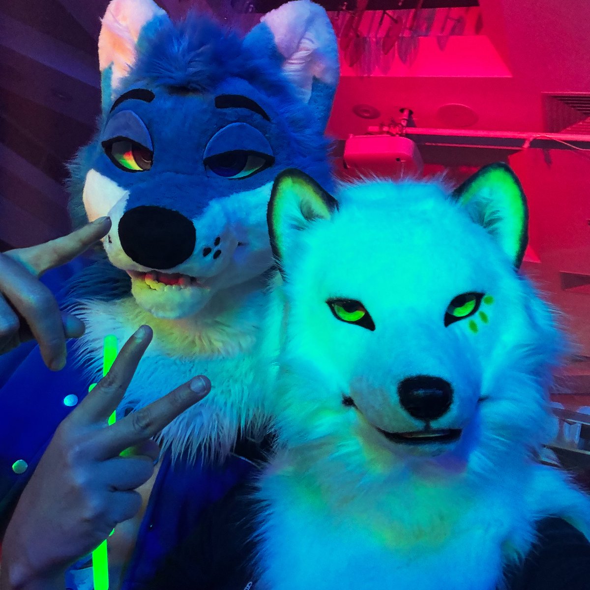 twitch.tv/furdutv

On in 30 minutes!!!