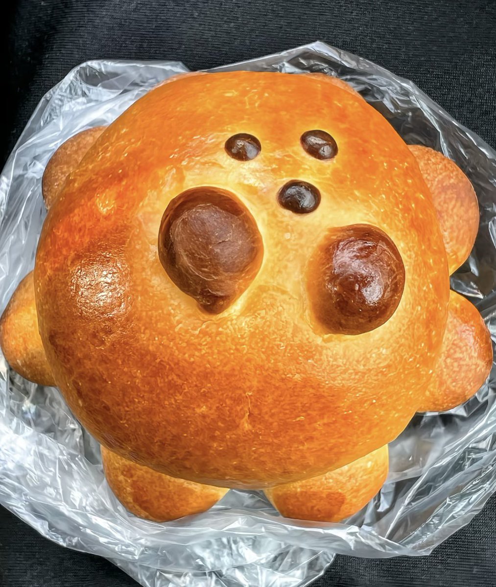 プレイリスト愛好家🎧 tweet media