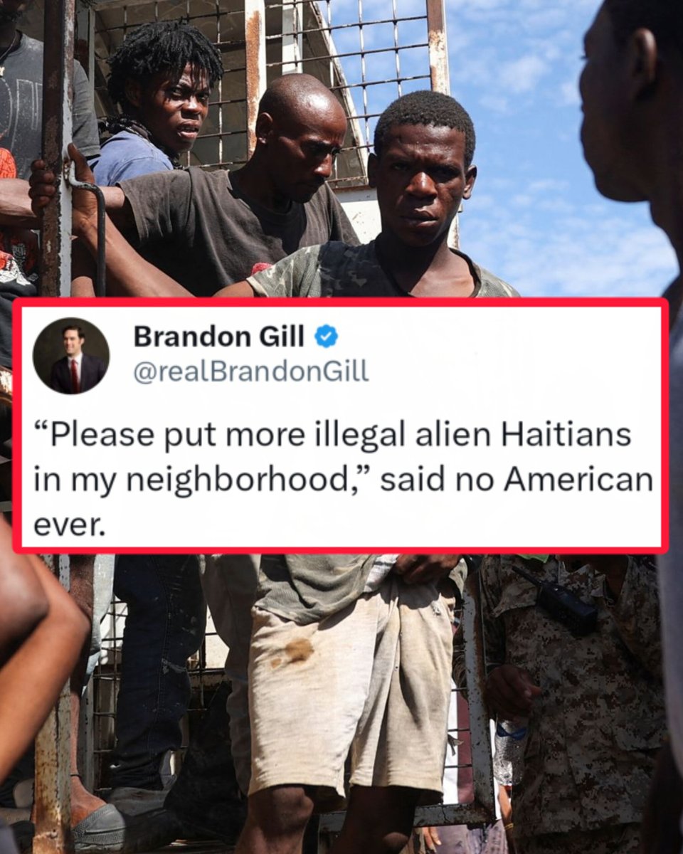 David J Harris Jr tweet media