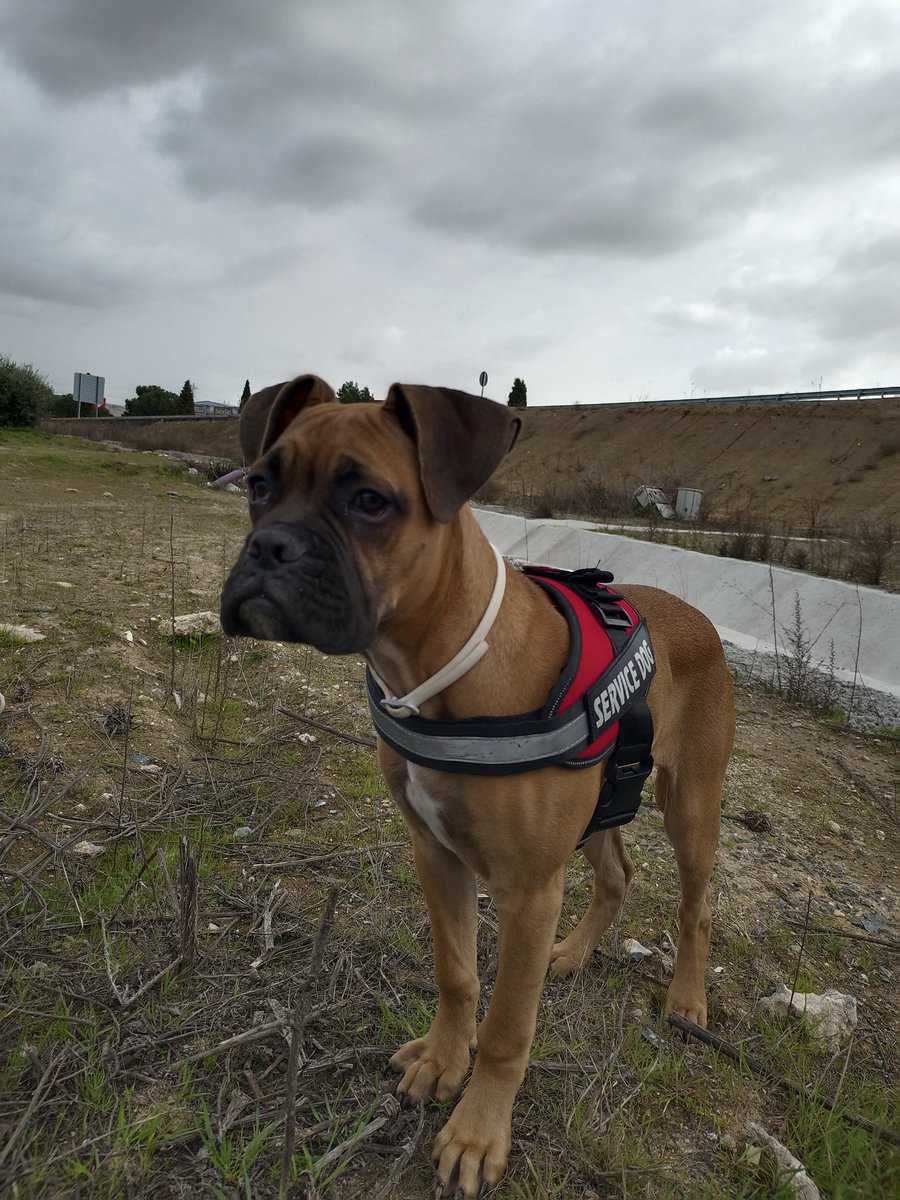 nuelia (@glumgyal) on Twitter photo 