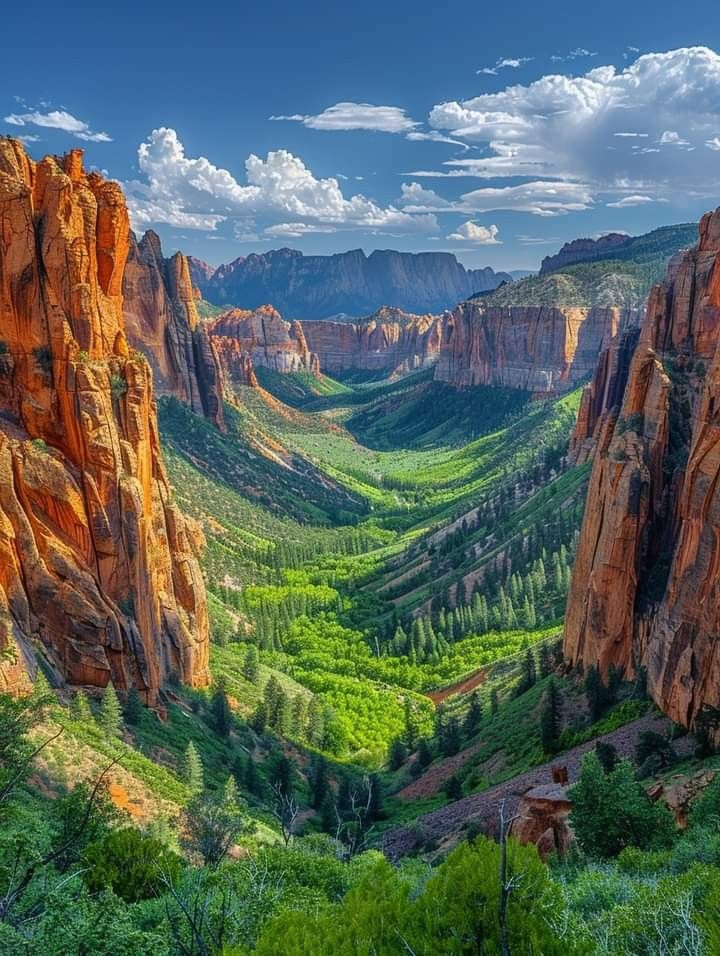 N A T U R E tweet media