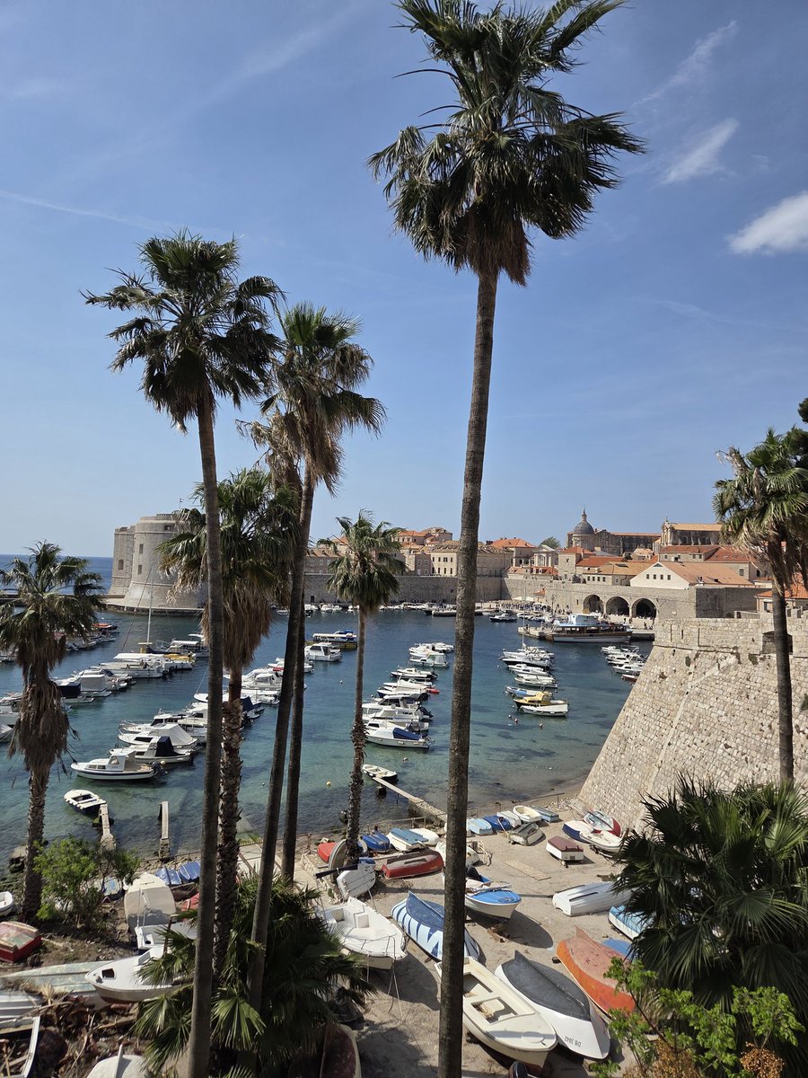 Bartosz Burzyński tweet media