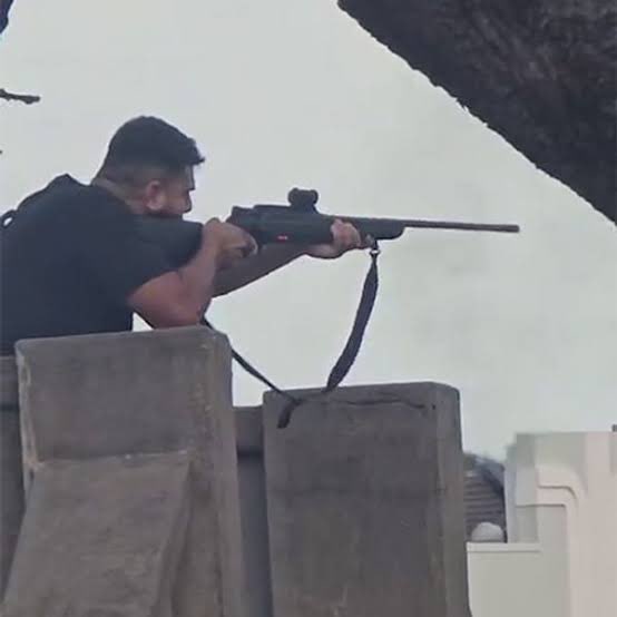 Scarfie🧡 tweet media