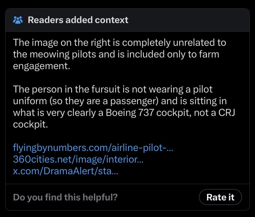 🐺Ash the wolgon🐉 tweet media