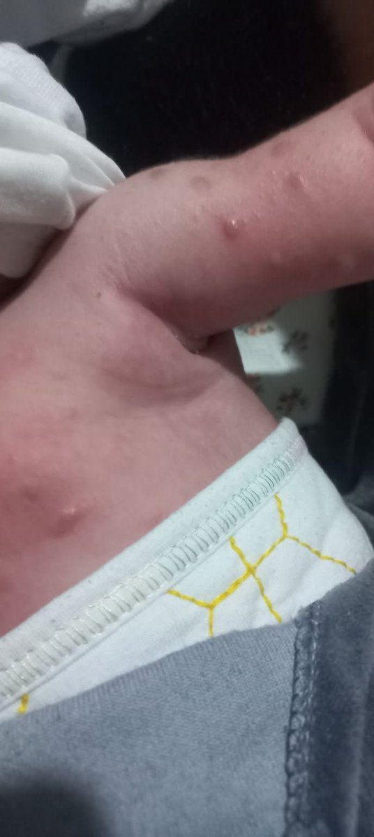 Ibrahim Kamel tweet media