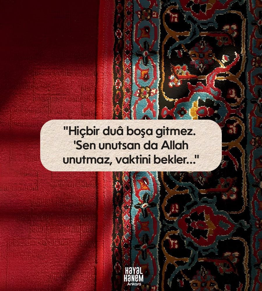 Hayalhanem Ankara (@hayalhanemank) on Twitter photo 