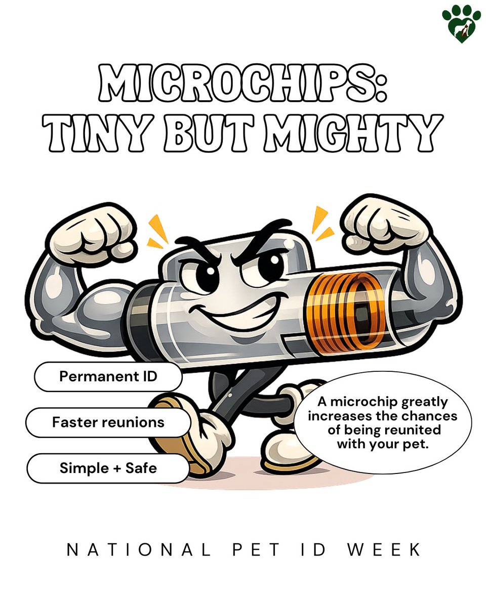 Animal Hosp. Sussex tweet media