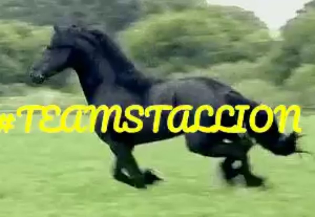 @siogo61 tweet media