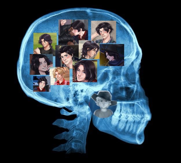 acervo felipe muller tweet media