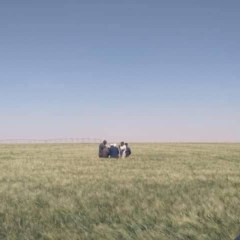 Fallseason 🇩🇿 tweet media