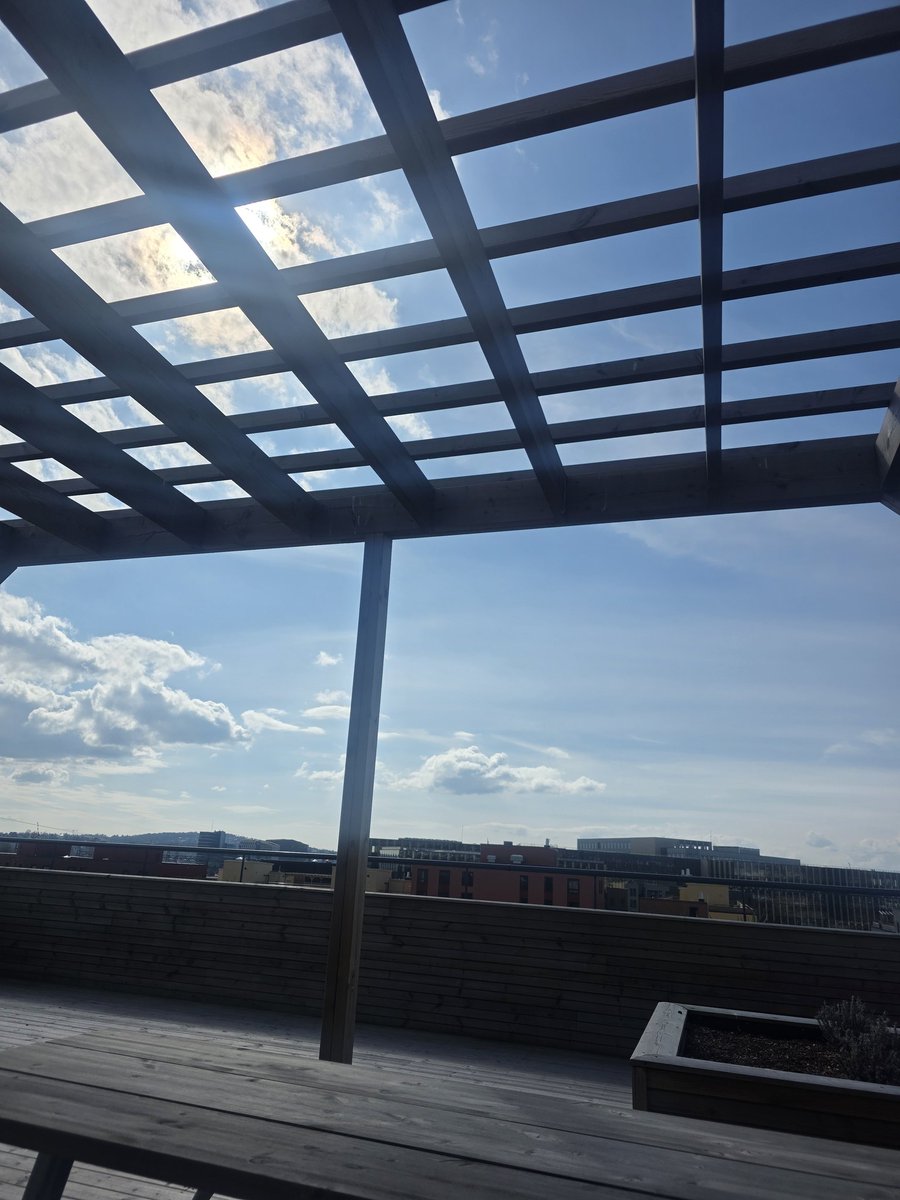 IcyCrowVT 🇧🇻 Corn Lover tweet media