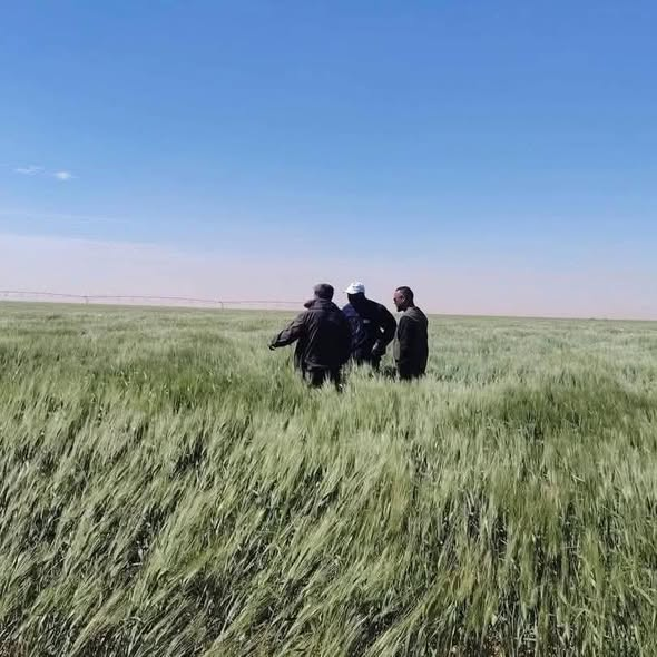 Fallseason 🇩🇿 tweet media