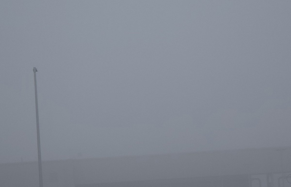 Jesse Lynn♥️ tweet media