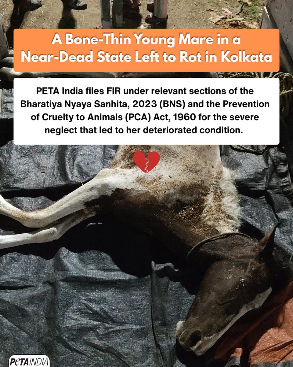PETA India tweet media