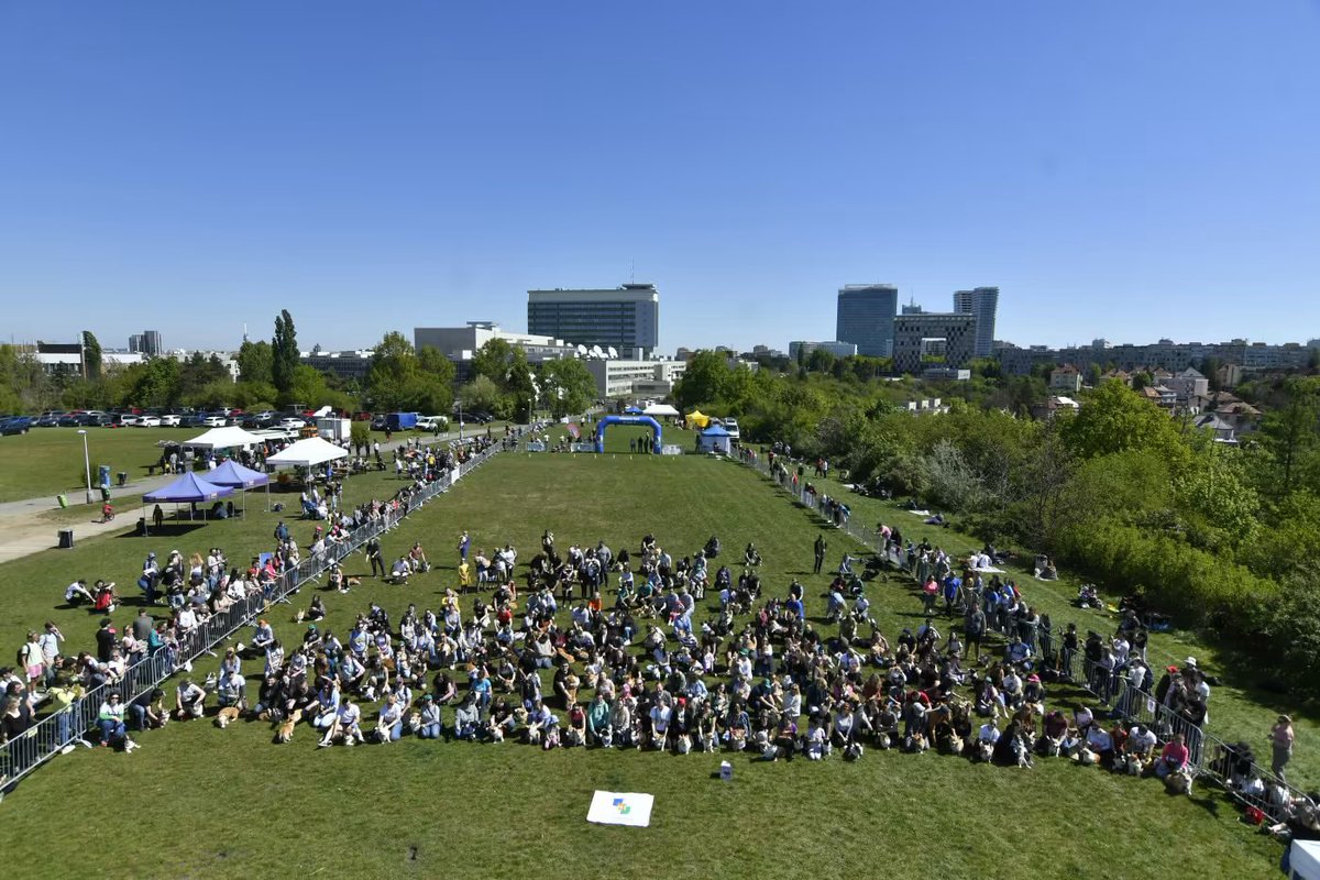 MrsBunny 🦁 tweet media