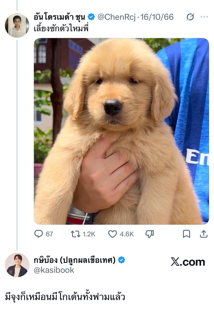 จุงก็เป็นโกเด้นของพี่บุ๊คมาตั้งนานแล้วนี่