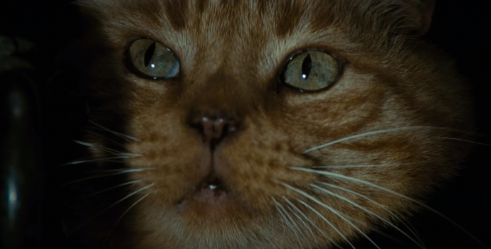 The Rock J tweet media