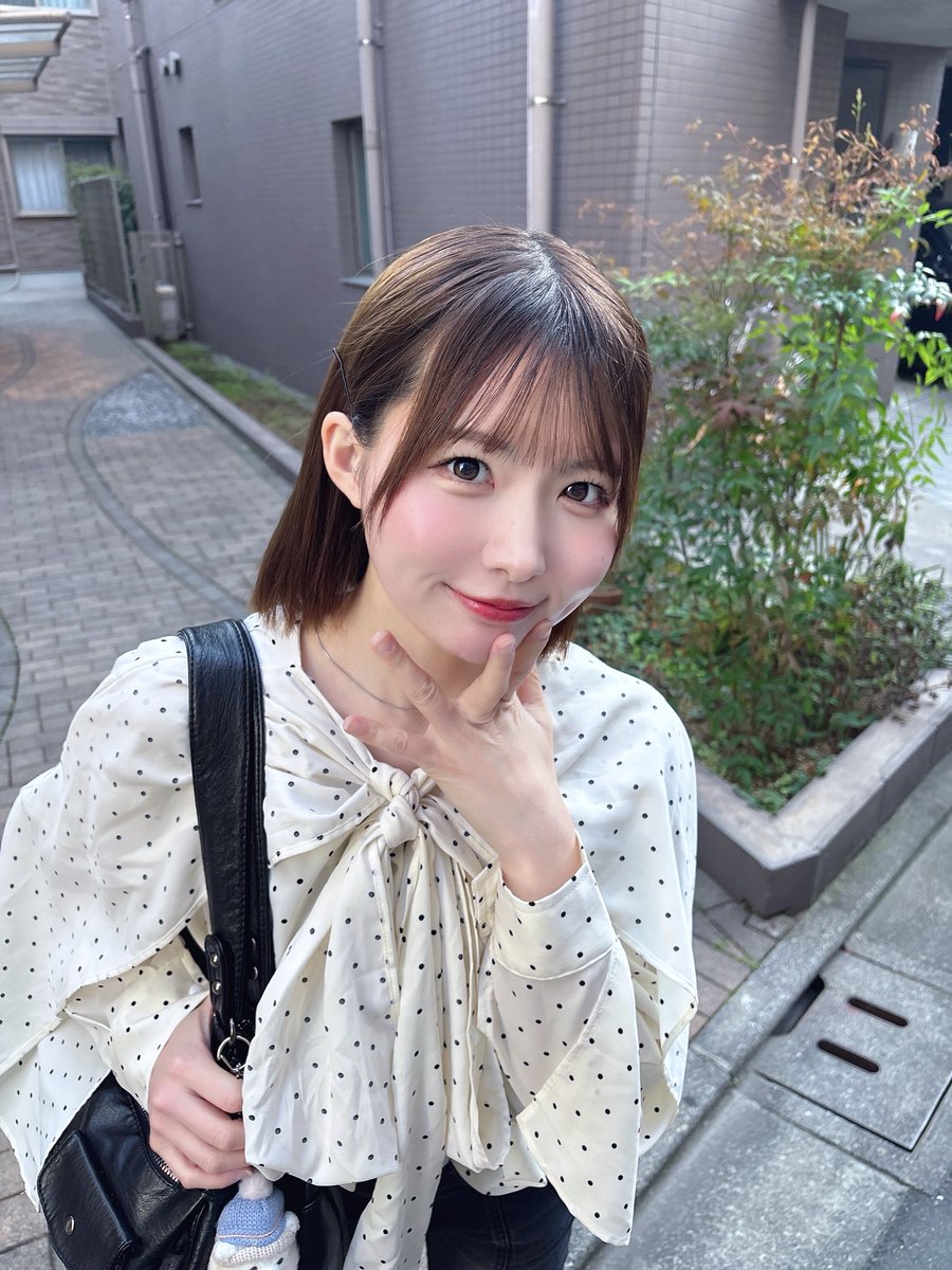 陽南ここね（4次元コンパス） tweet media