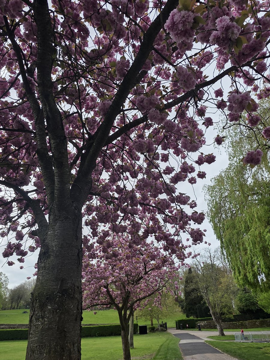 Nplon 18🇬🇧 tweet media