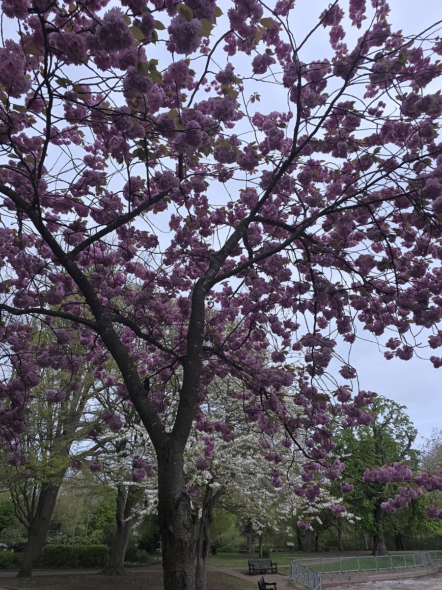 Nplon 18🇬🇧 tweet media