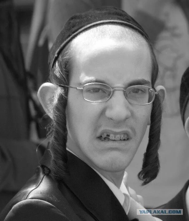 hgulion 🇪🇺🇭🇷🇨🇦 tweet media