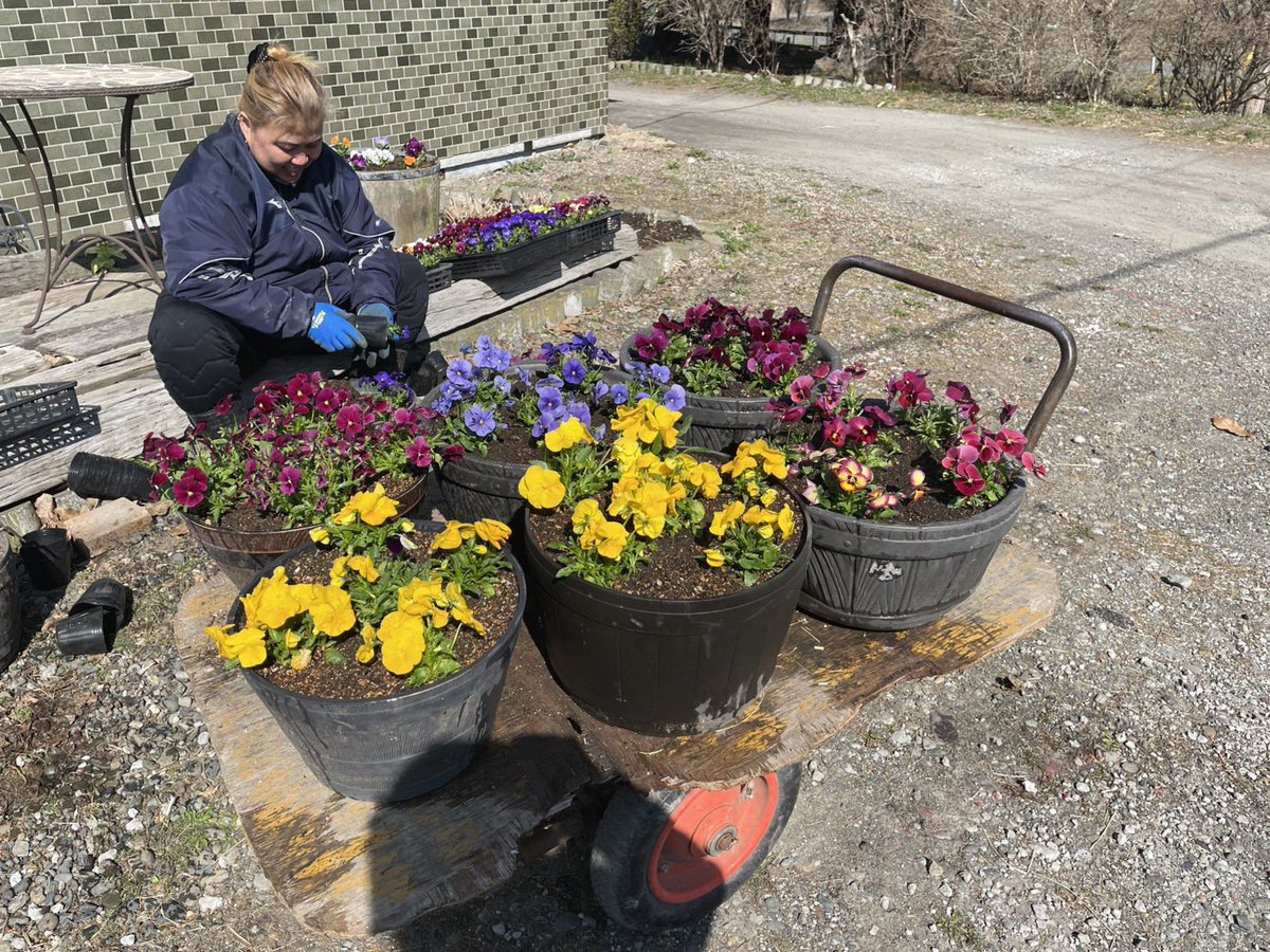 門別牧場 tweet media