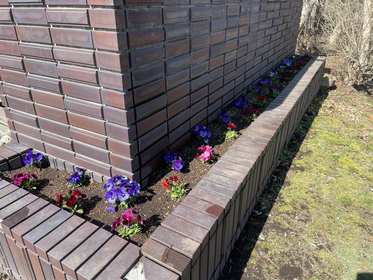 門別牧場 tweet media