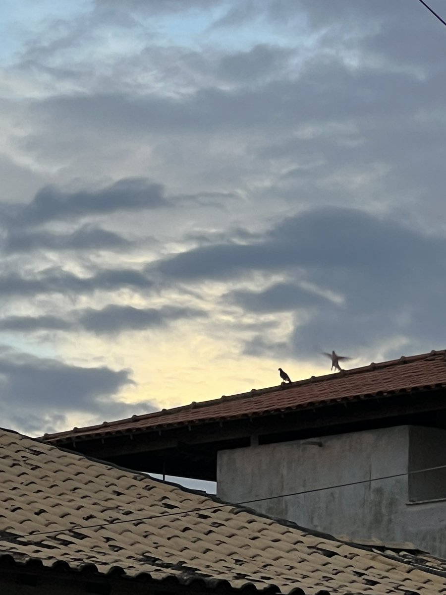 fafá ✮ tweet media