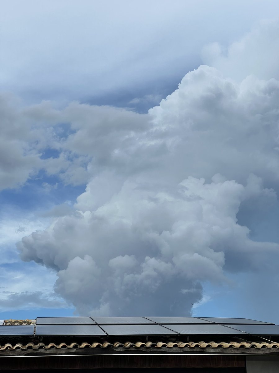 fafá ✮ tweet media