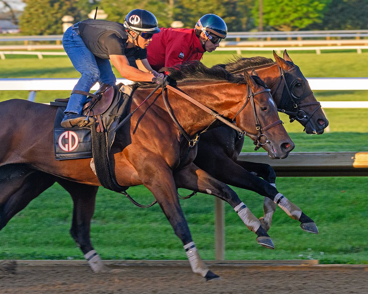 Anne Eberhardt Keogh tweet media