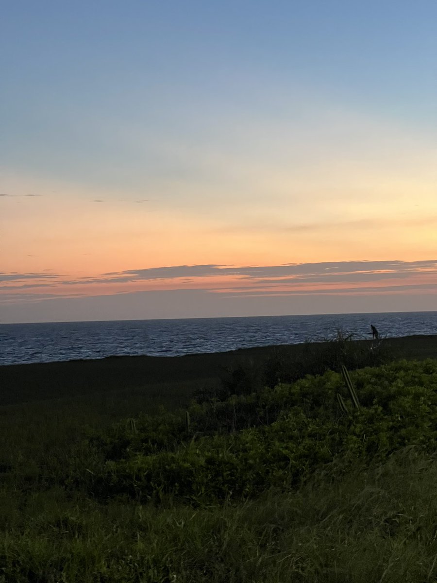 fafá ✮ tweet media