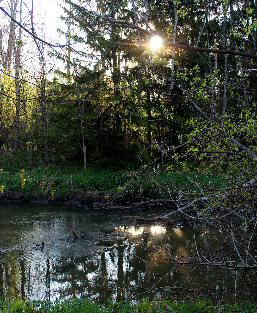 Kevin 🇨🇦📸 tweet media